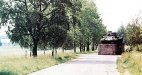 Вид на дорогу, идущей на Мариенбург. Слева из-за деревьев видна птицеферма Учхоза (фото автора)