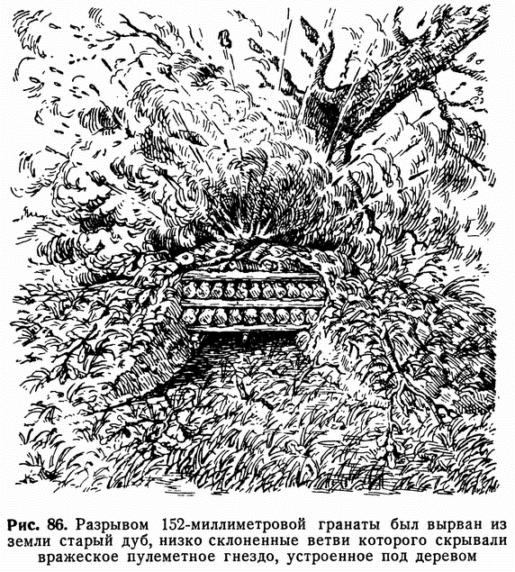 Рис. 86. Разрывом 152-миллиметровой гранаты был вырван из земли старый дуб, низко склоненные ветви которого скрывали вражеское пулеметное гнездо, устроенное под деревом